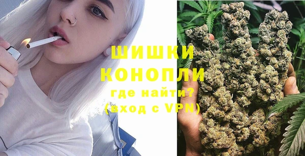 apvp Бородино