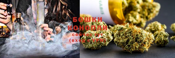 apvp Бородино
