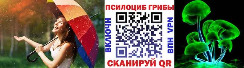 мориарти официальный сайт  купить наркотик  mega вход  Нурлат  Псилоцибиновые грибы Cubensis 